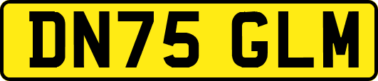 DN75GLM