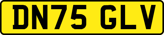 DN75GLV
