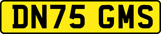 DN75GMS