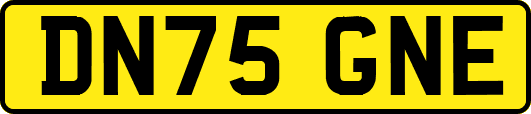 DN75GNE