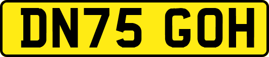 DN75GOH
