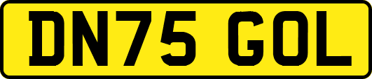 DN75GOL
