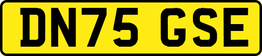 DN75GSE
