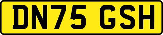 DN75GSH