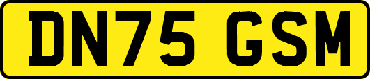 DN75GSM