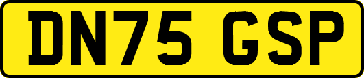 DN75GSP