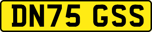 DN75GSS