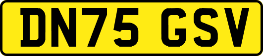 DN75GSV