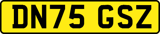 DN75GSZ