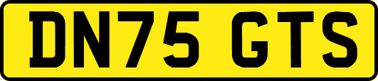 DN75GTS