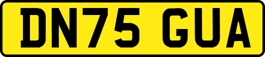 DN75GUA