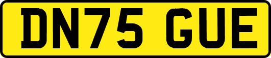 DN75GUE