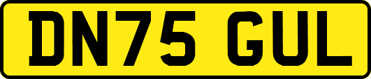 DN75GUL