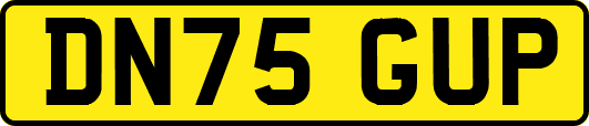 DN75GUP