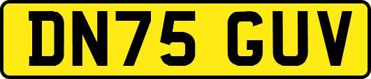 DN75GUV