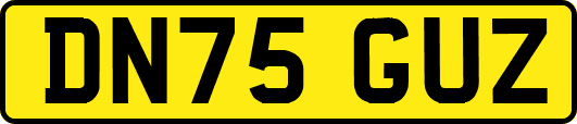 DN75GUZ