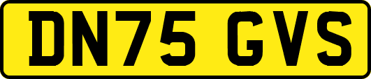 DN75GVS