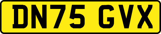DN75GVX