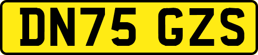 DN75GZS