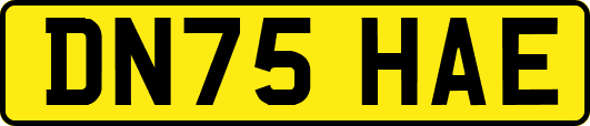 DN75HAE