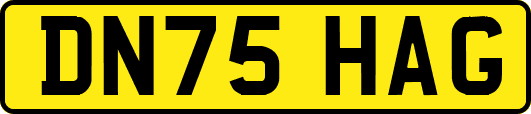 DN75HAG