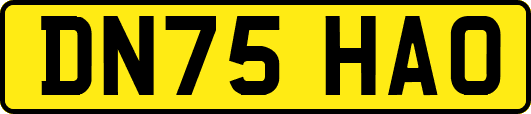 DN75HAO
