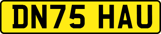 DN75HAU