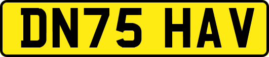 DN75HAV