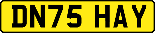 DN75HAY