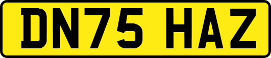 DN75HAZ