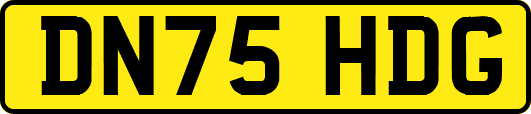 DN75HDG