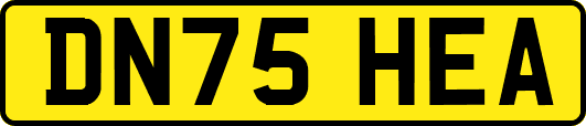 DN75HEA