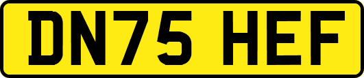 DN75HEF