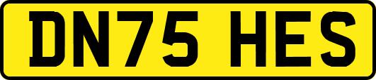 DN75HES