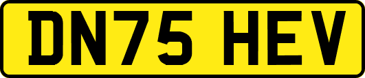 DN75HEV