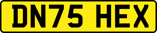 DN75HEX