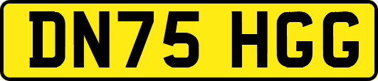 DN75HGG