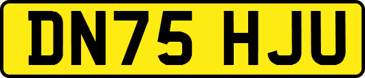 DN75HJU