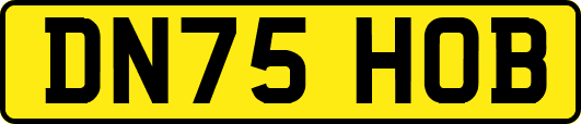 DN75HOB