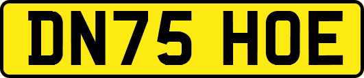 DN75HOE