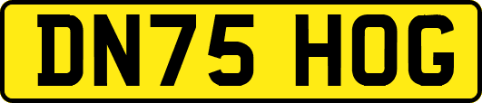 DN75HOG