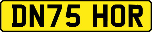 DN75HOR