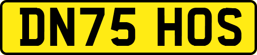 DN75HOS