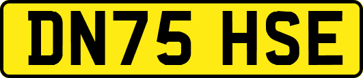 DN75HSE