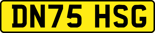 DN75HSG
