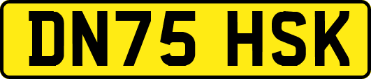DN75HSK