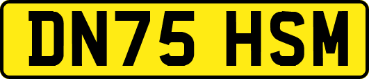 DN75HSM