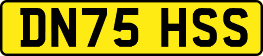 DN75HSS