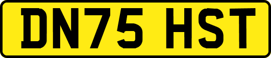 DN75HST