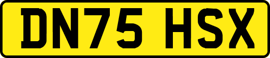 DN75HSX